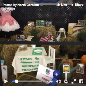 4-H Fair booth