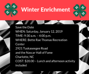 Cover photo for 2019 4-H Winter Enrichment - TEENS!!