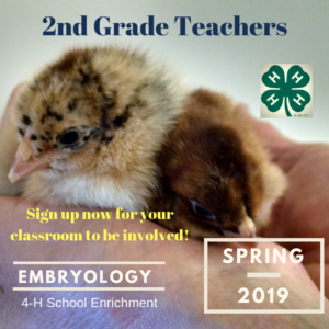 Cover photo for Embryology Workshop Available for Local Educators