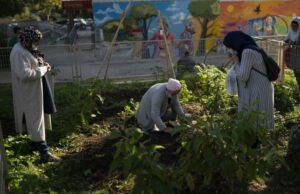 Communiity gardeners