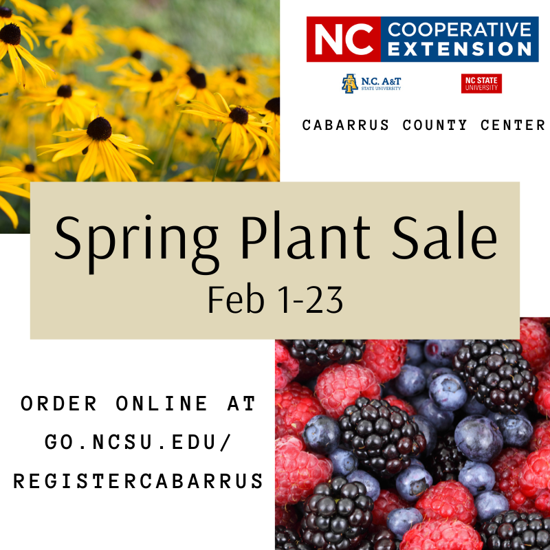 Spring Plant Sale February 1-23. Order Online at go.ncsu.edu/registercabarrus