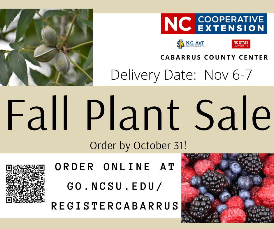 Fall plant sale flyer. Order by October 31.