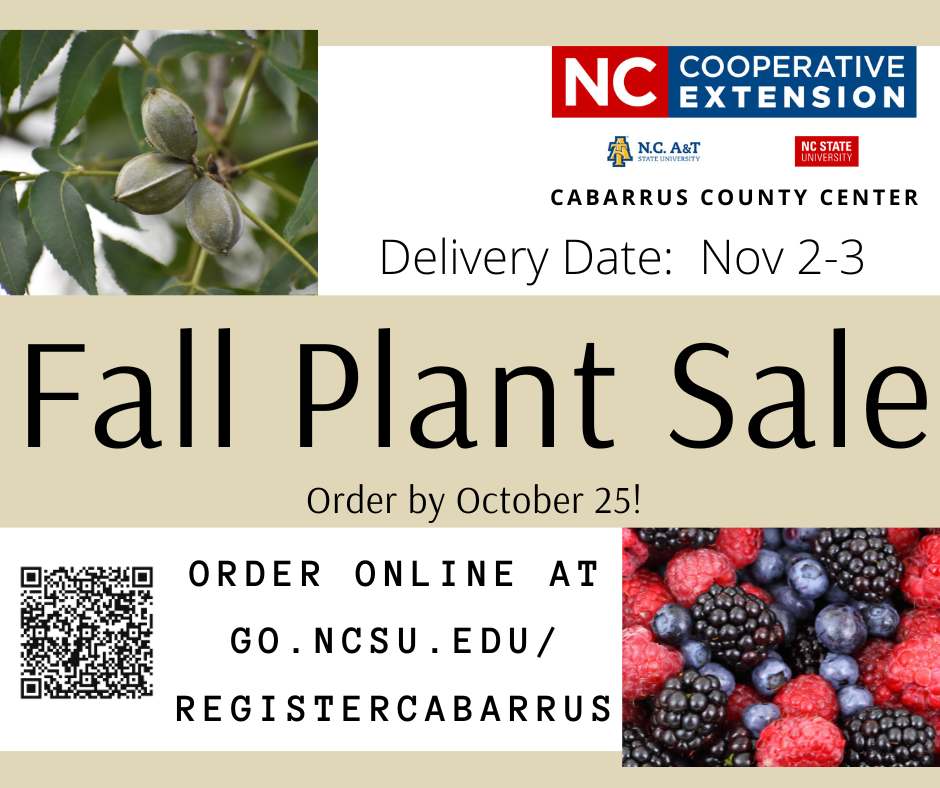 Fall Plant Sale Flyer