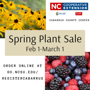 spring plant sale advertisement