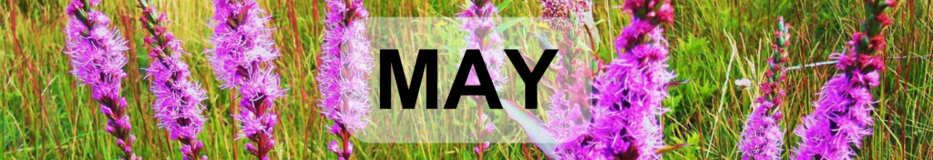 May