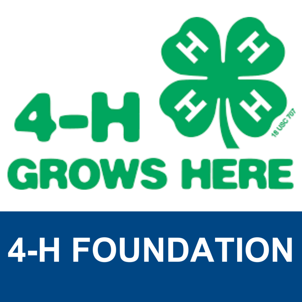 4-H Foundation