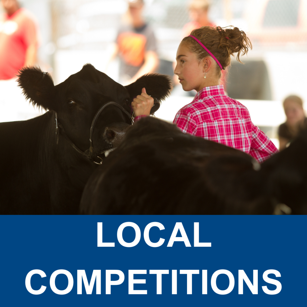 Local Competitions