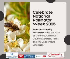 celebrate national pollinator week with these fun activities. Picture of bee on flower.