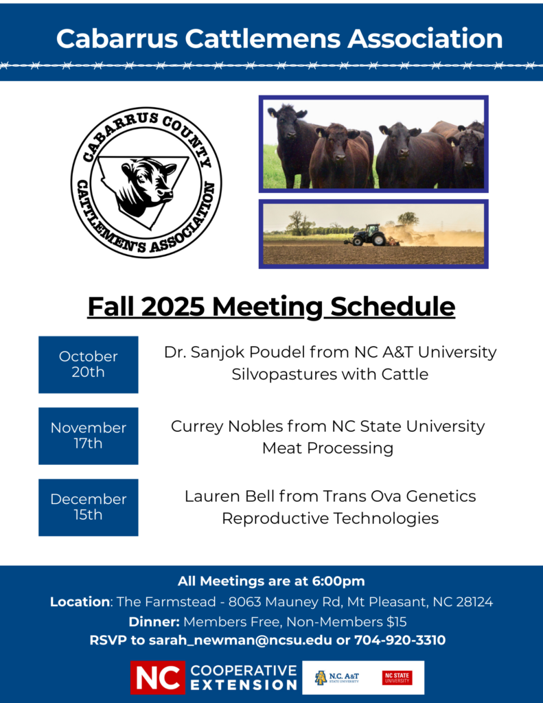 Meeting Flyer